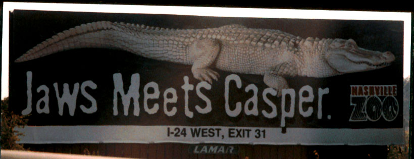 stephanie lipsey stephanie lipsey